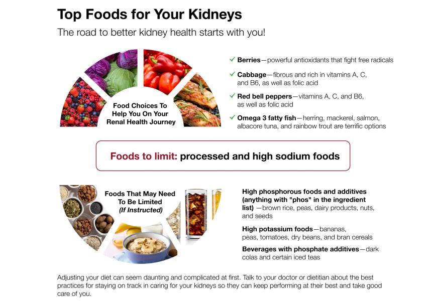 Infographics for kidney top food